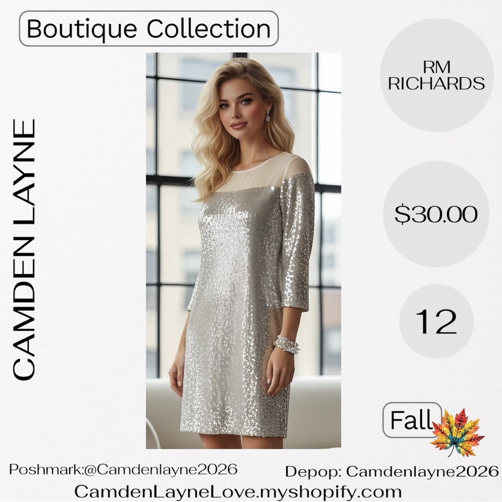 R&M Richards Shimmering Silver Long Sleeve Dress
